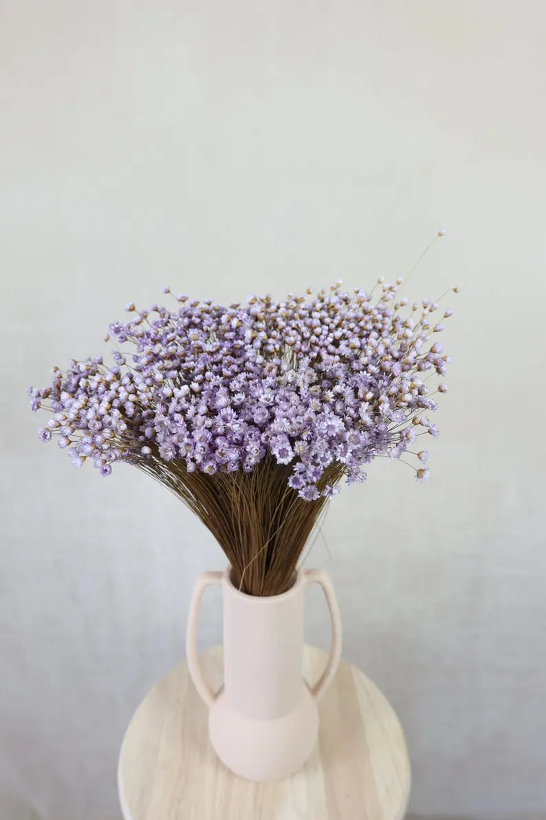 Lavender Dried star flowers, Dried Flowers, Wedding flowers, Flower bouquets, Home decor 12” tall