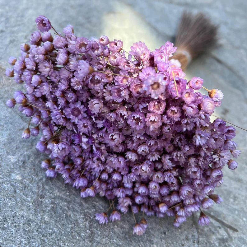 Lavender Dried star flowers, Dried Flowers, Wedding flowers, Flower bouquets, Home decor 12” tall